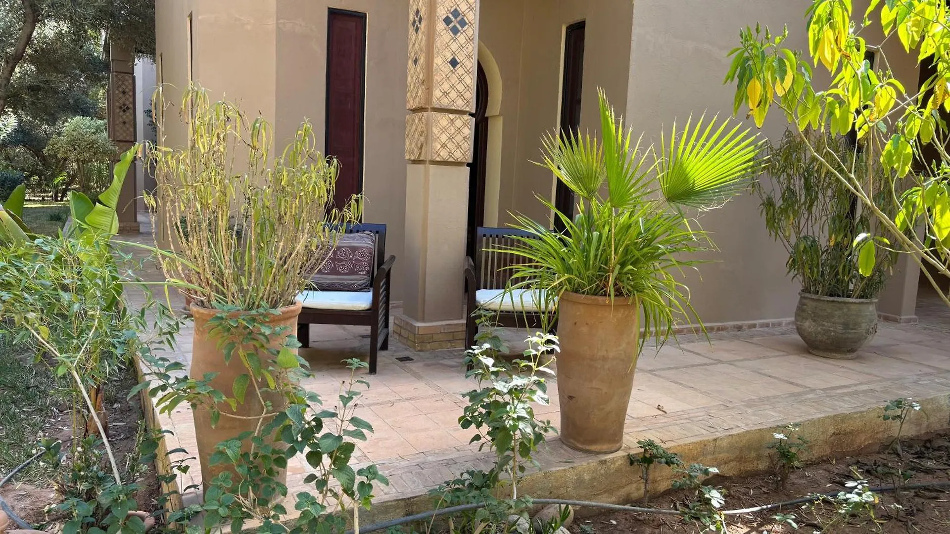 Villa Dar Zeitoun By Palais Celoa Marakeş Pansiyon