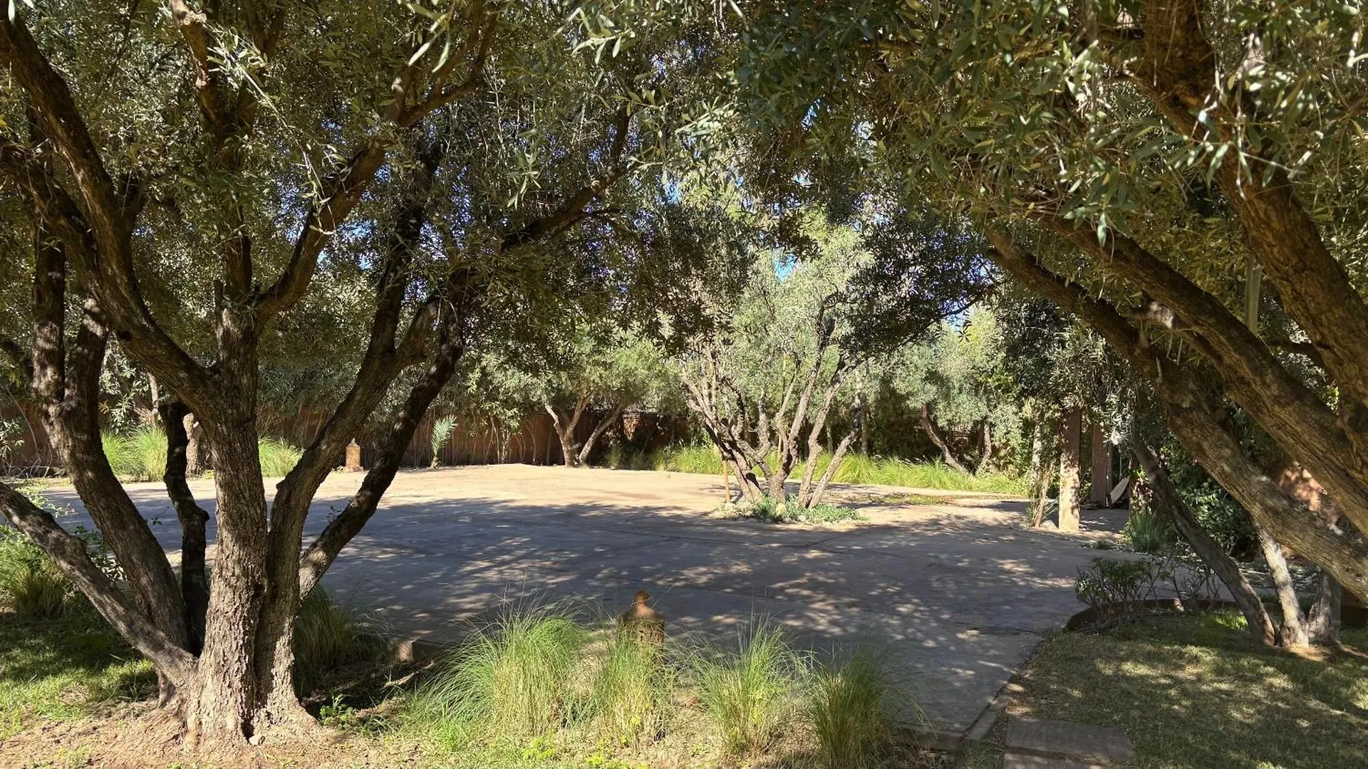 Villa Dar Zeitoun By Palais Celoa Marakeş 0*,