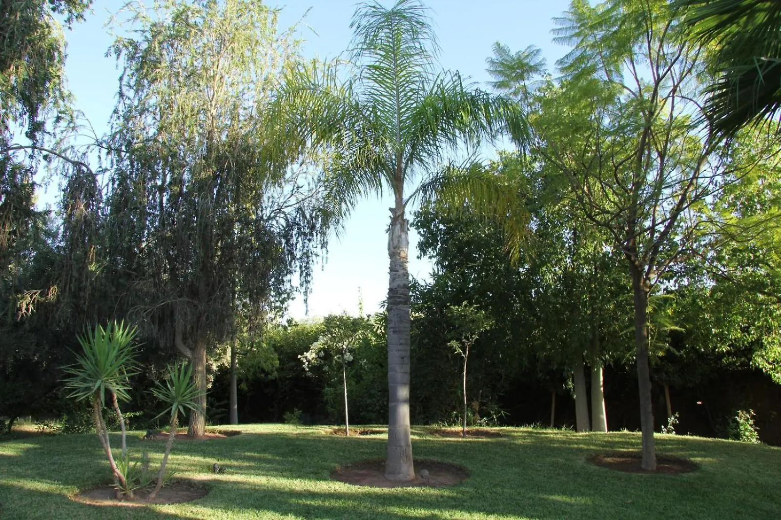 Villa Dar Zeitoun By Palais Celoa Marrakesh Morocco