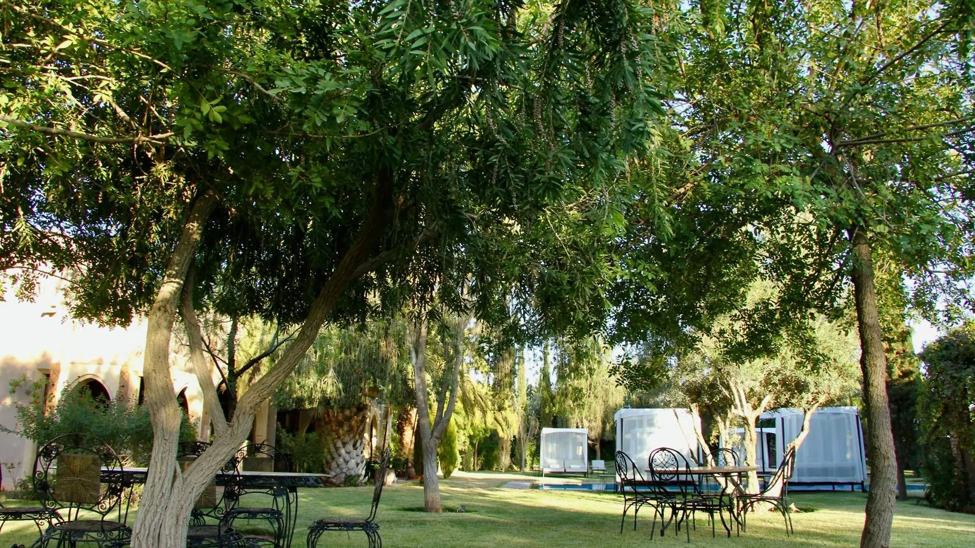 Villa Dar Zeitoun By Palais Celoa Marrakesh Homestay